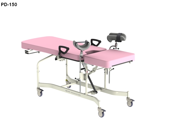 Paramount Bed PD-150